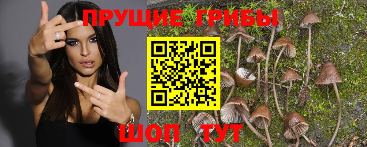 Галлюциногенные грибы мухоморы  Вход с VPN  Галлюциногенные грибы MAGIC MUSHROOMS  Приморско-Ахтарск 